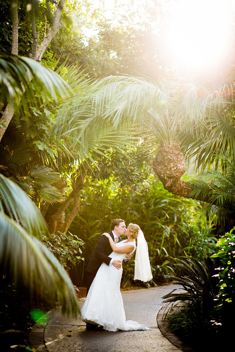 tropical trees with bride and groom kissing romantic