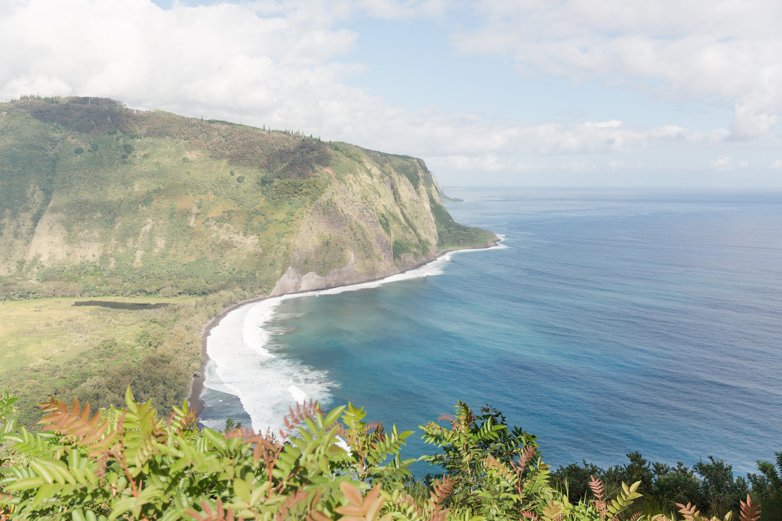 Hawaii 20165V1A0285