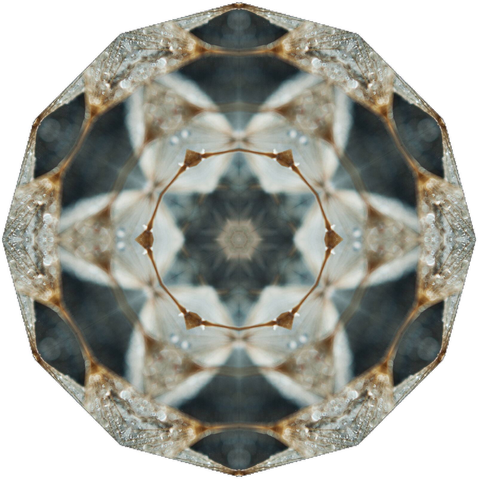 liz-allen-photography-digital-kaleidoscope-art-11