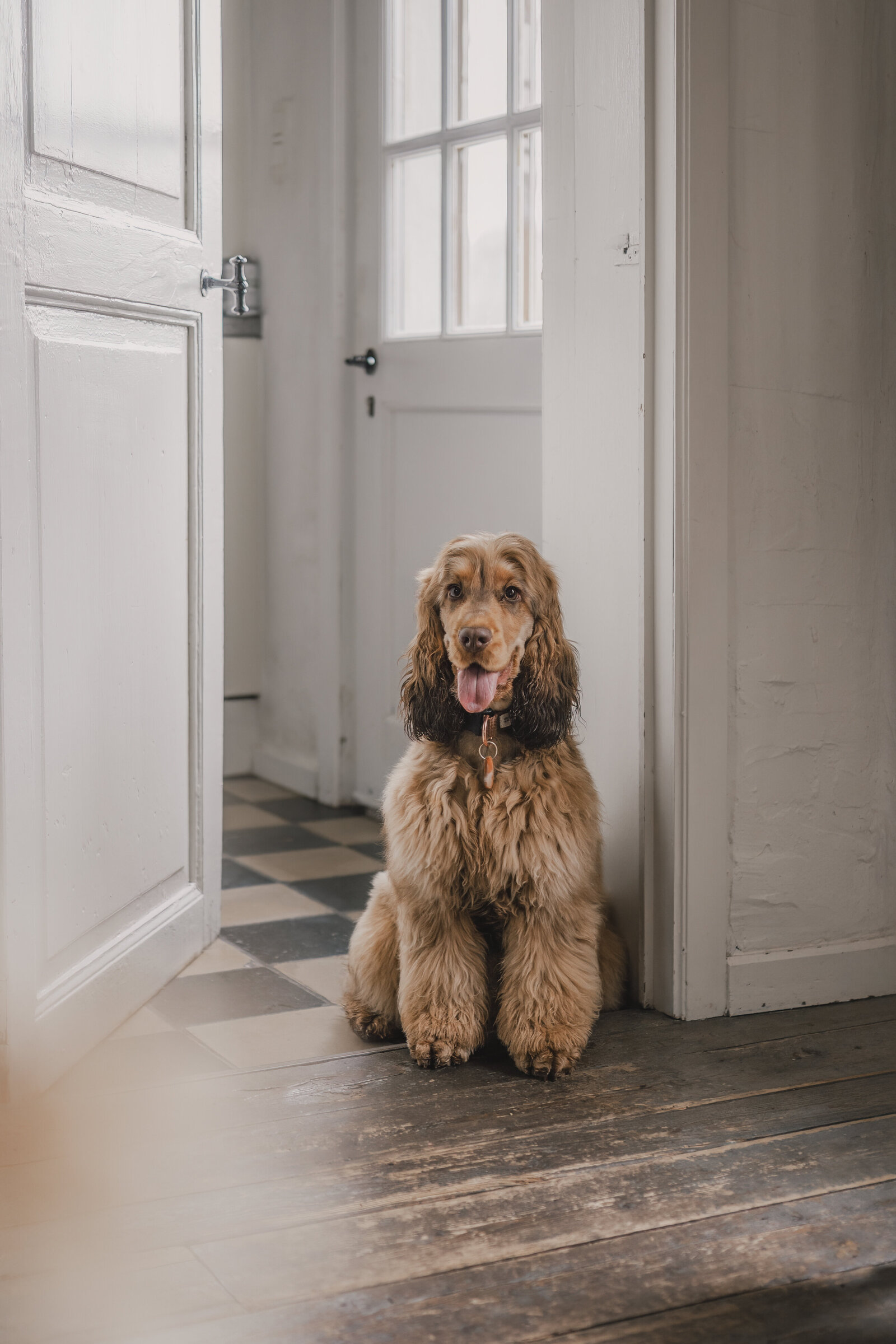 DSC08552 (Origineel, bewerkt)