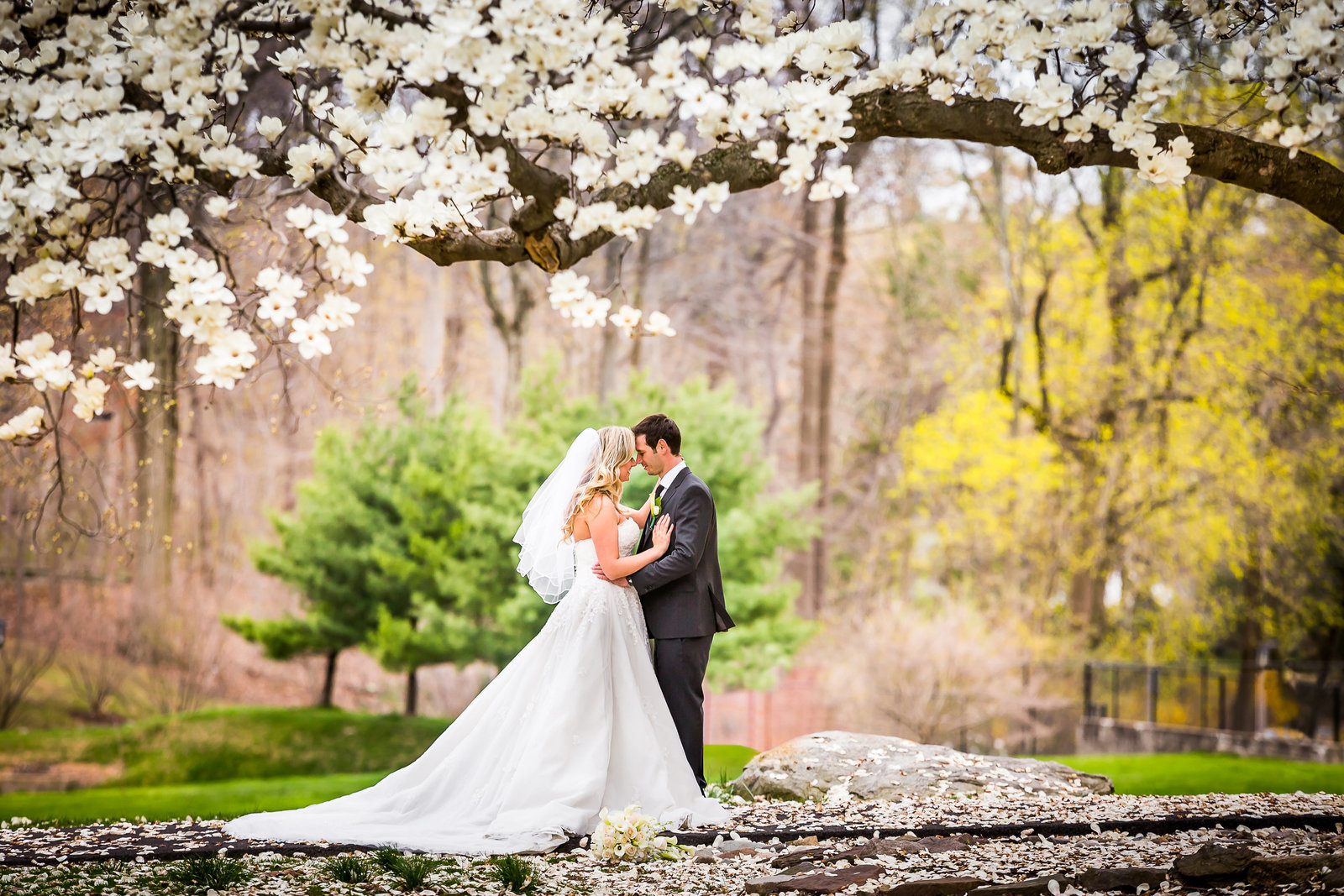 abington-wedding-photographer-spring