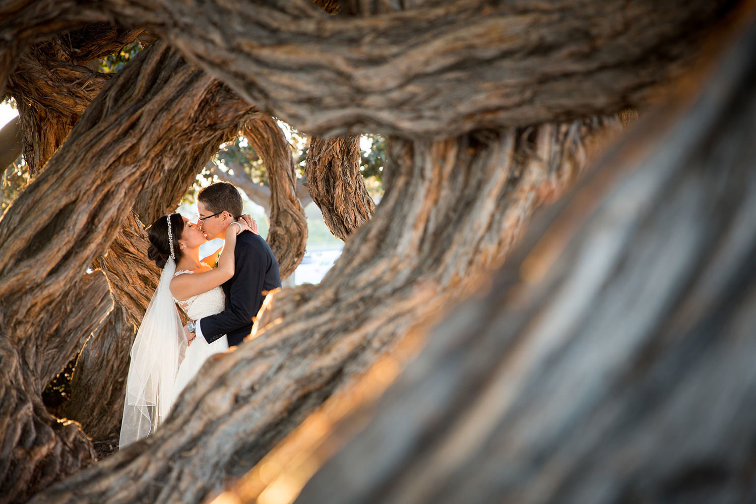 bride and groom kissing by tree at admiral kidd club