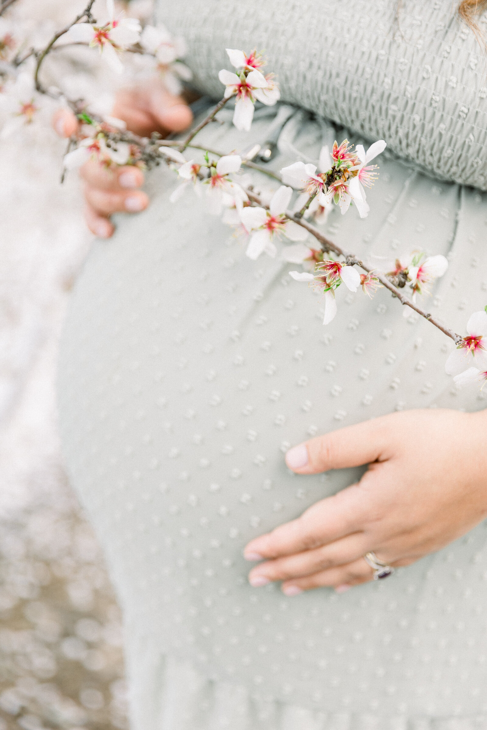 Image of exprcting mothers belly along with almond blossoms taken by Sacramento Newborn Photographer Kelsey Krall