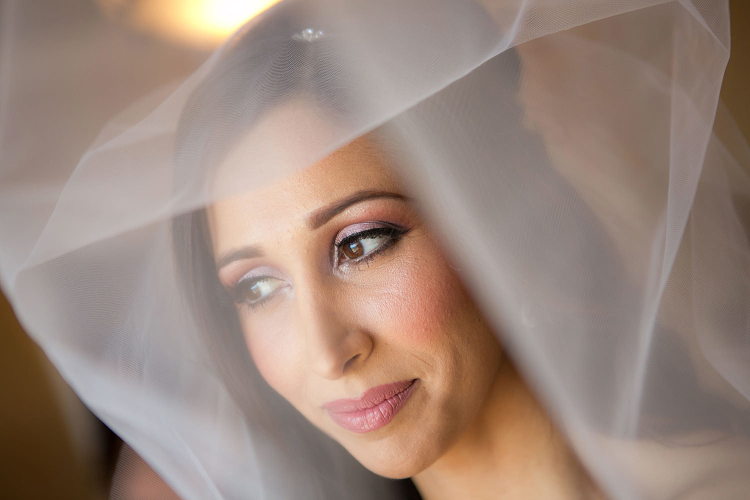 Creative bridal portrait with the wedding veil