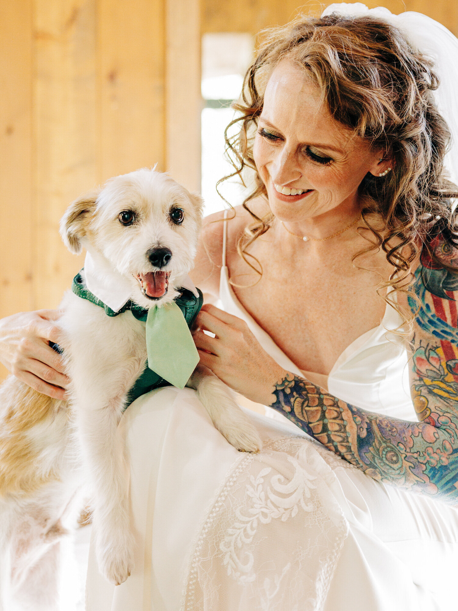 A smiling bride with curly hair and colorful arm tattoos sits in a white dress, holding a happy dog in a green harness and matching tie. Captured indoors with wooden walls behind them by a Denver Wedding Photographer.