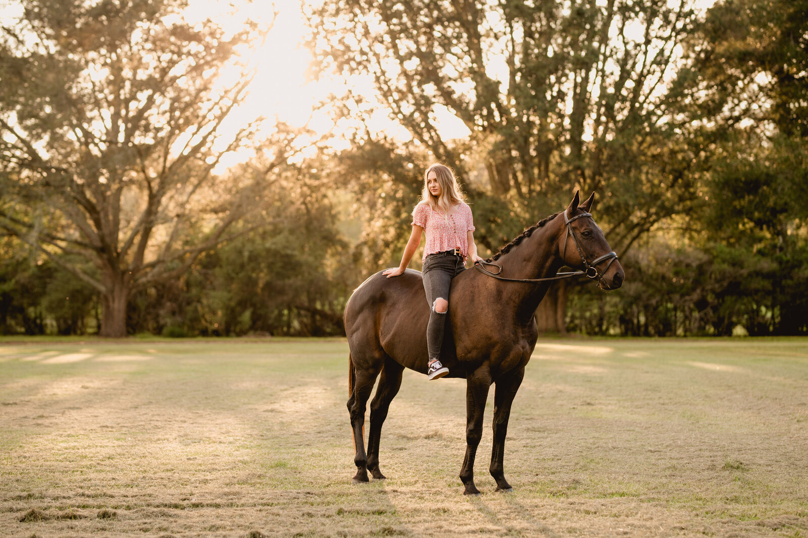 South Georgia photographer located in Thomasville takes equine portraits.