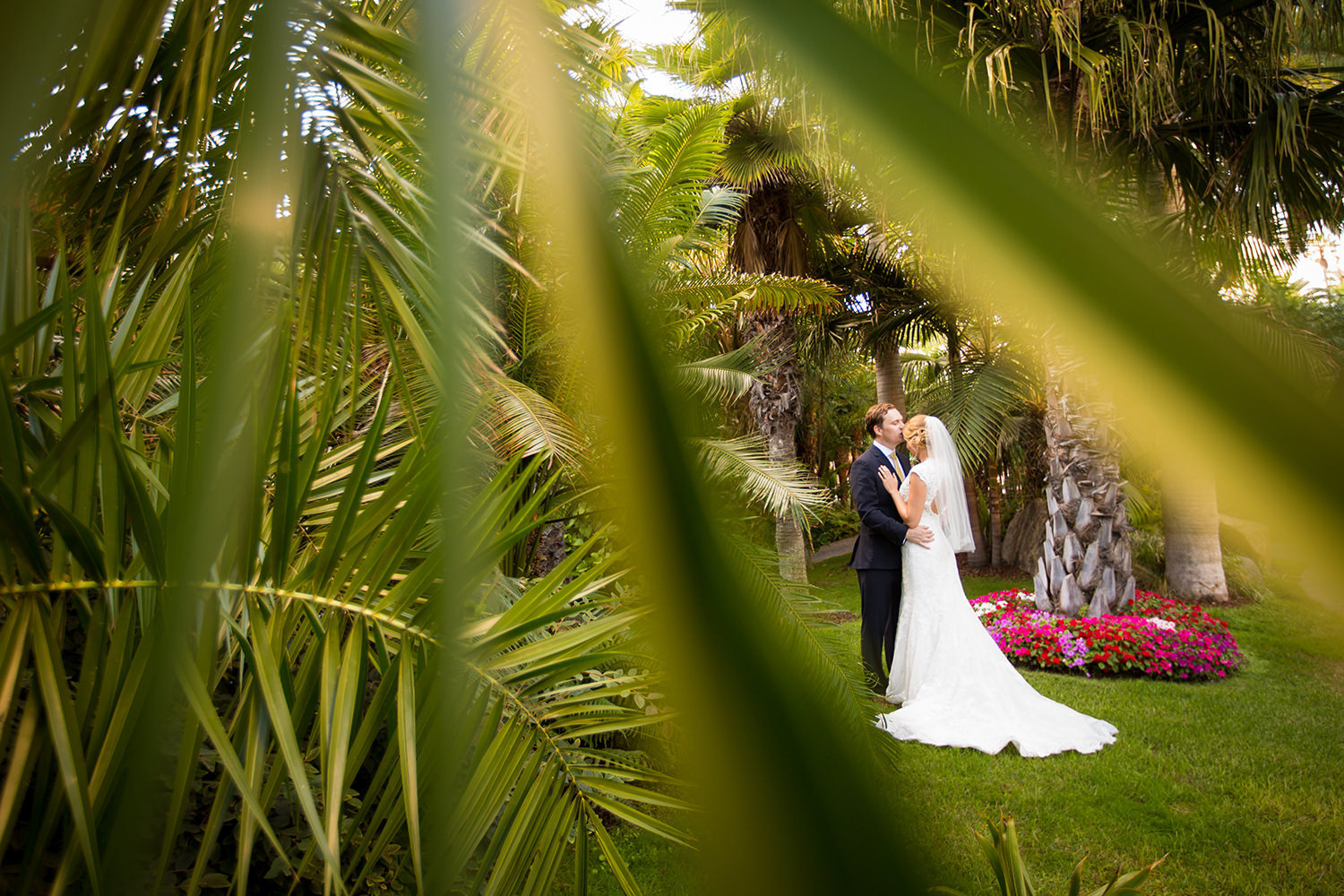 tropical plants with the bride and groom