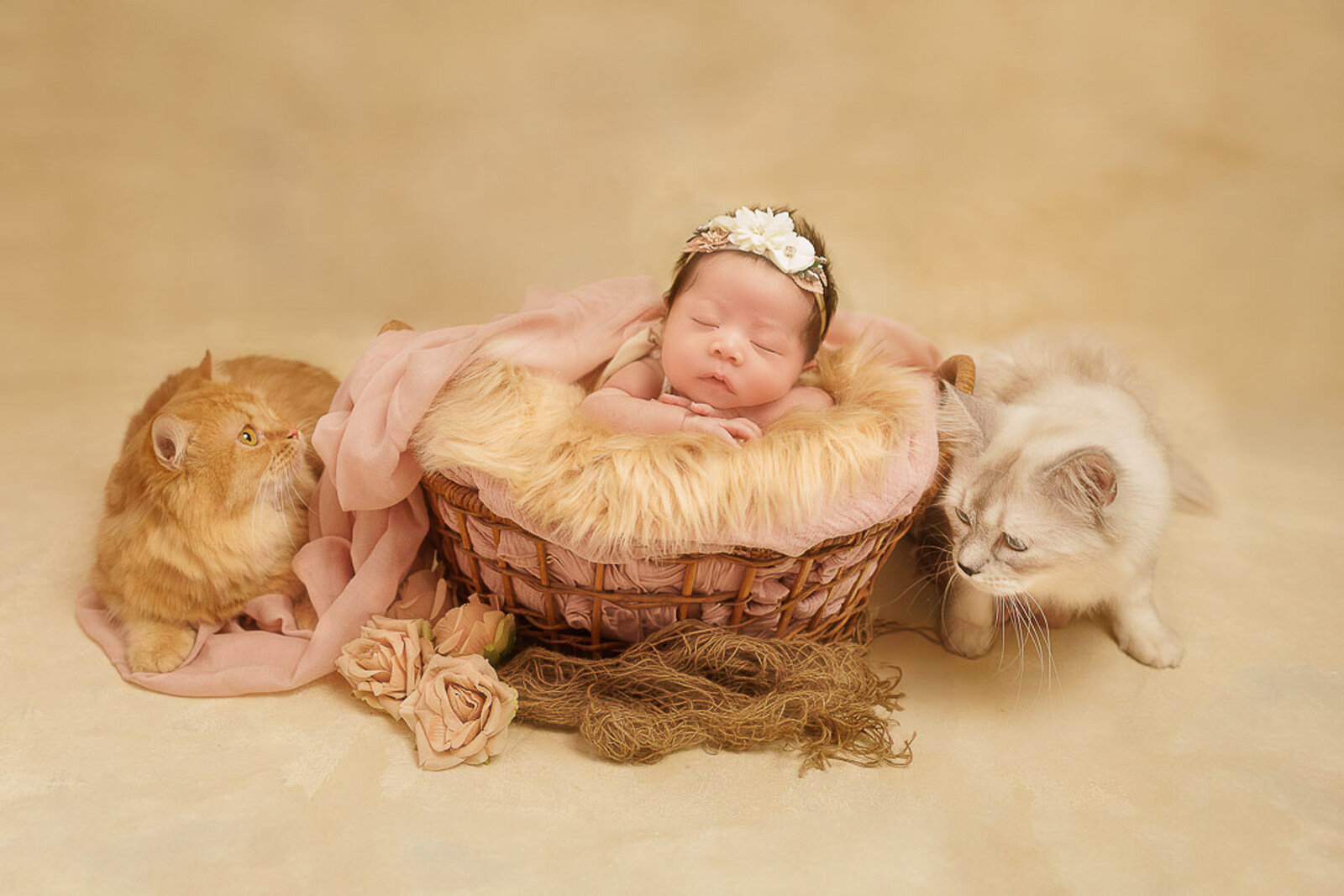 Cavite-Newborn-Photographer--31