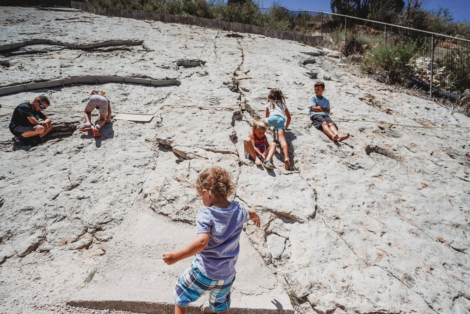Dinosaur-Ridge_0363