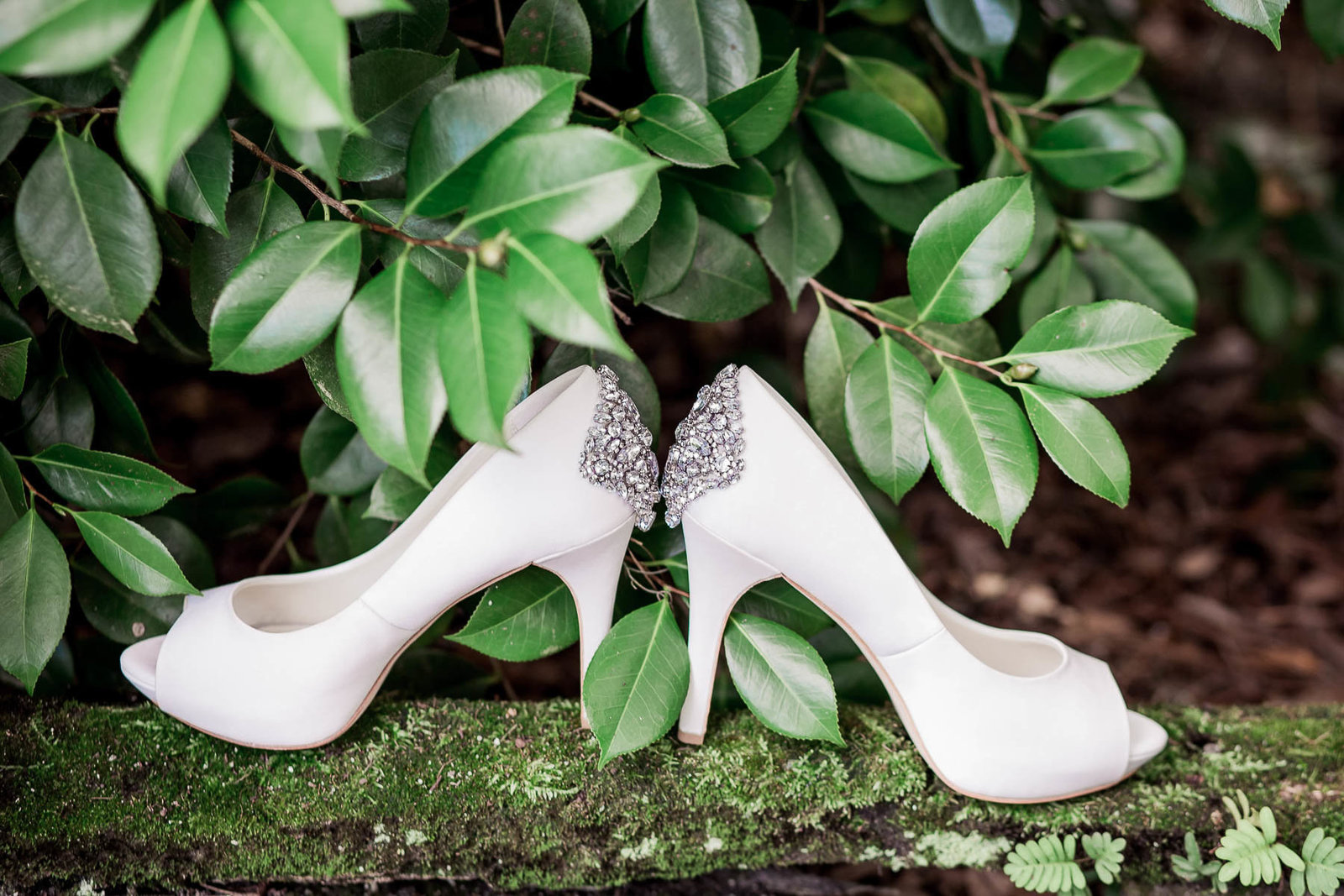 The bride's shoes sit by greenery, Magnolia Plantation, Charleston Wedding Photographer.
