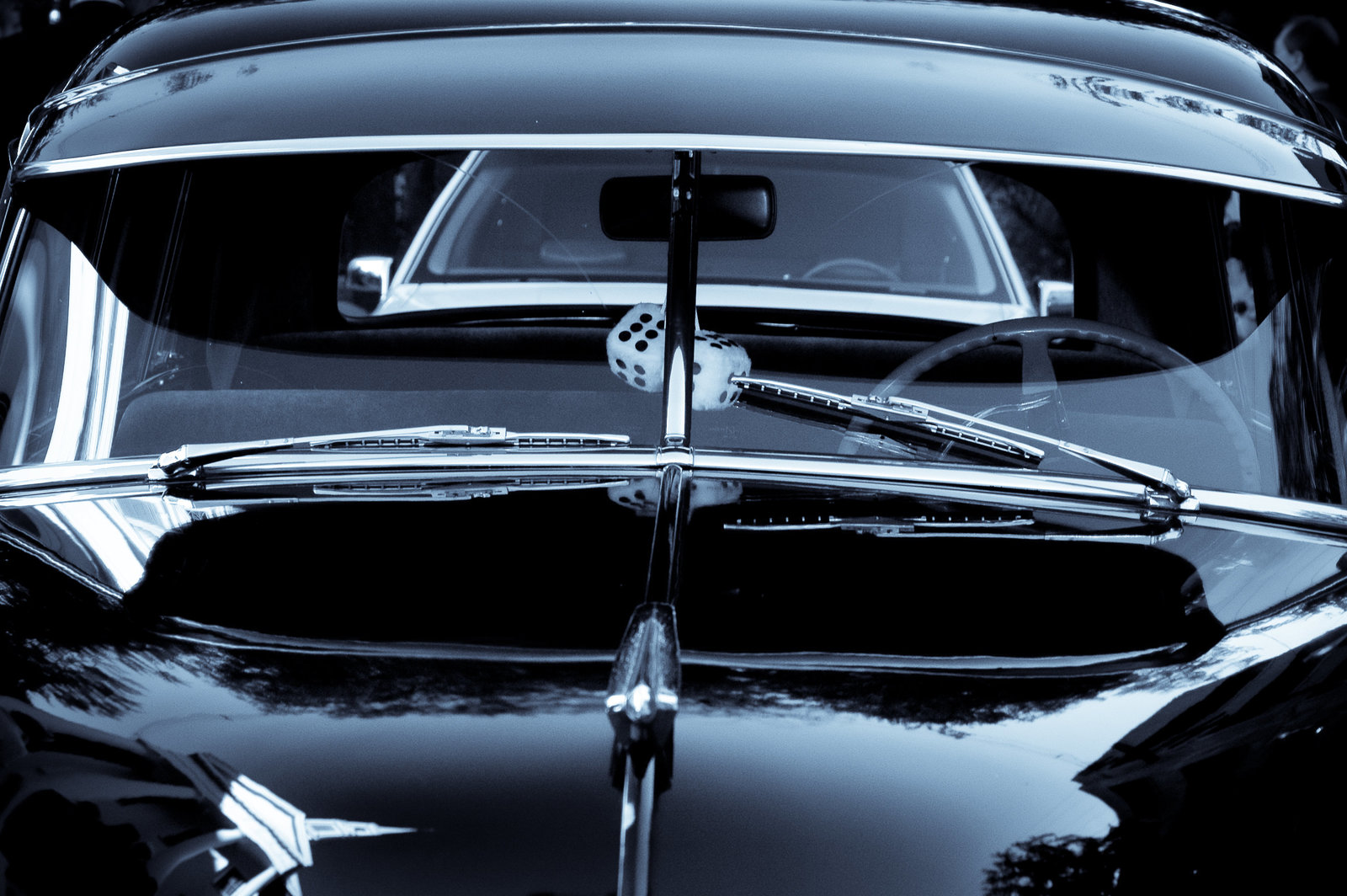 DSC_0451 focus