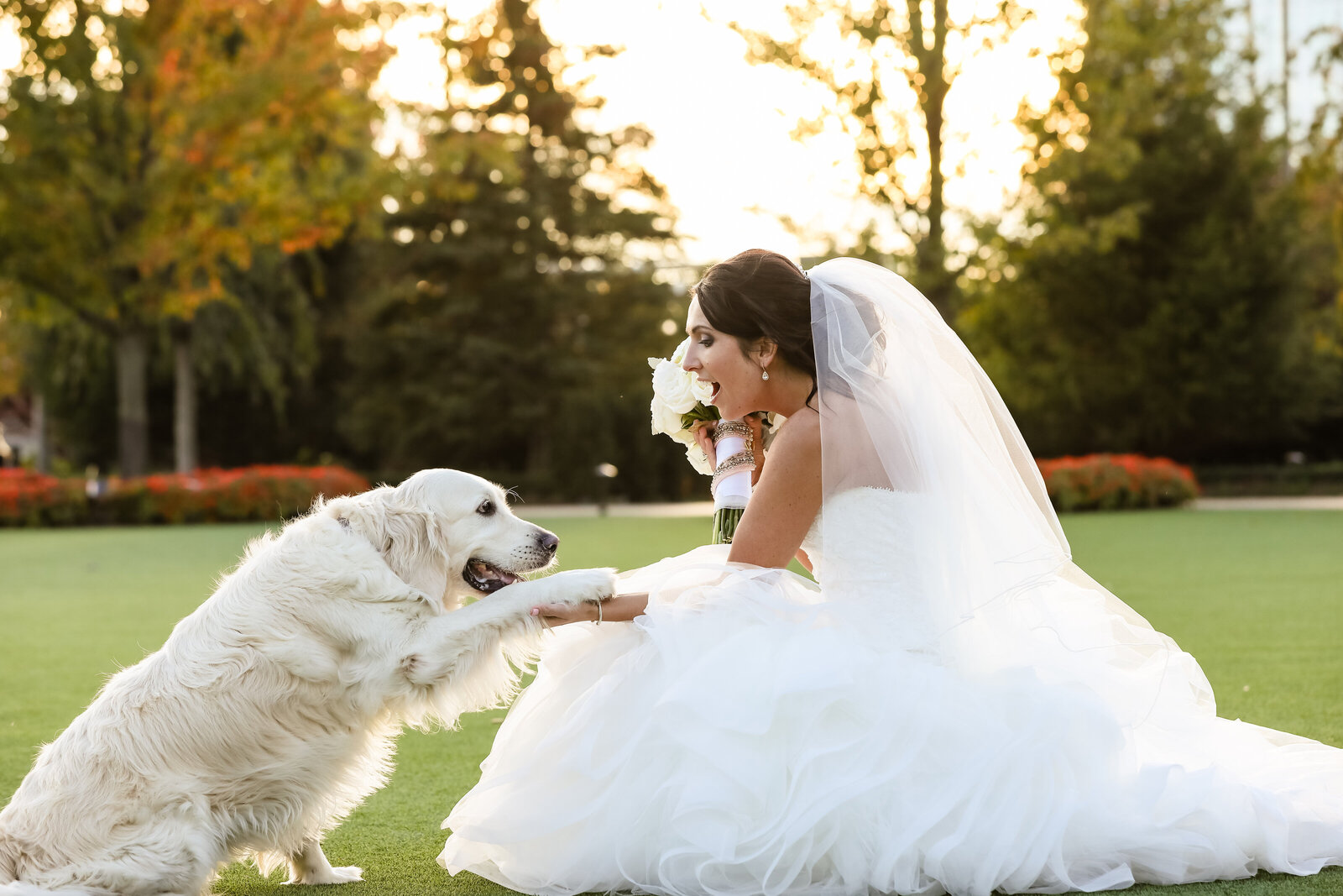 bride srouching down with dog at Encore casino wedding