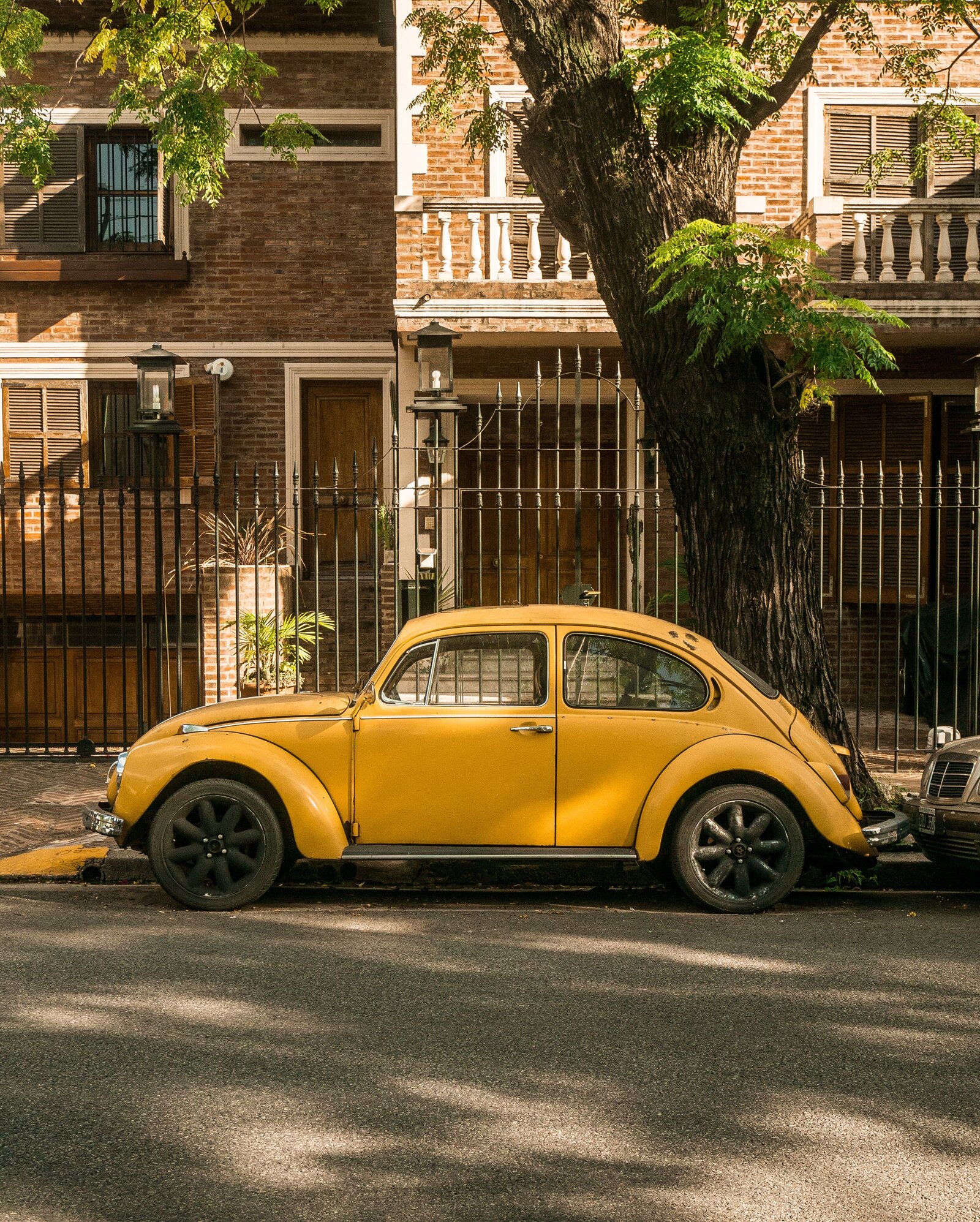 pexels-ulises-varela-13151932