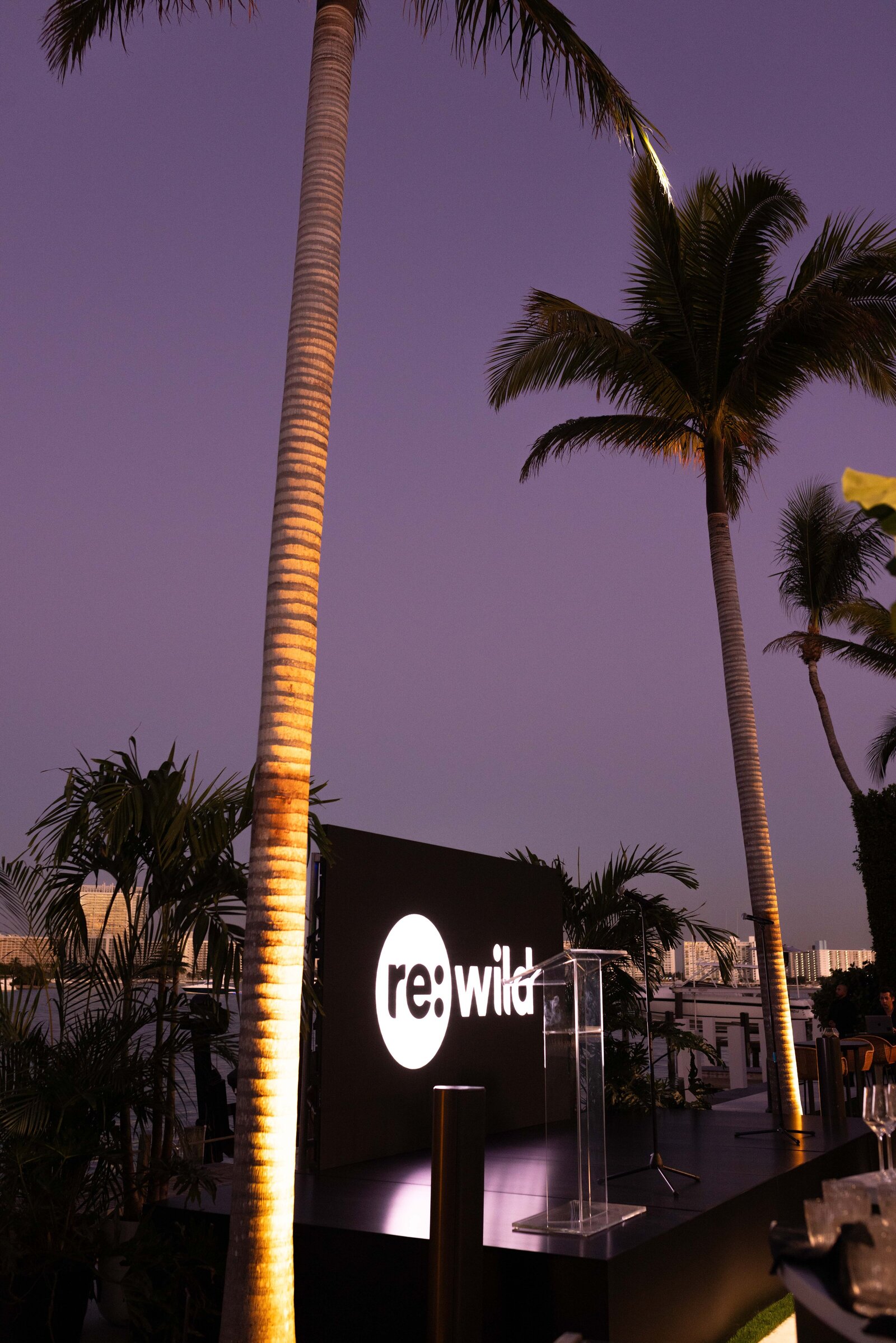 RE-WILD_MIAMI_ELISABETTARICCIO_030a