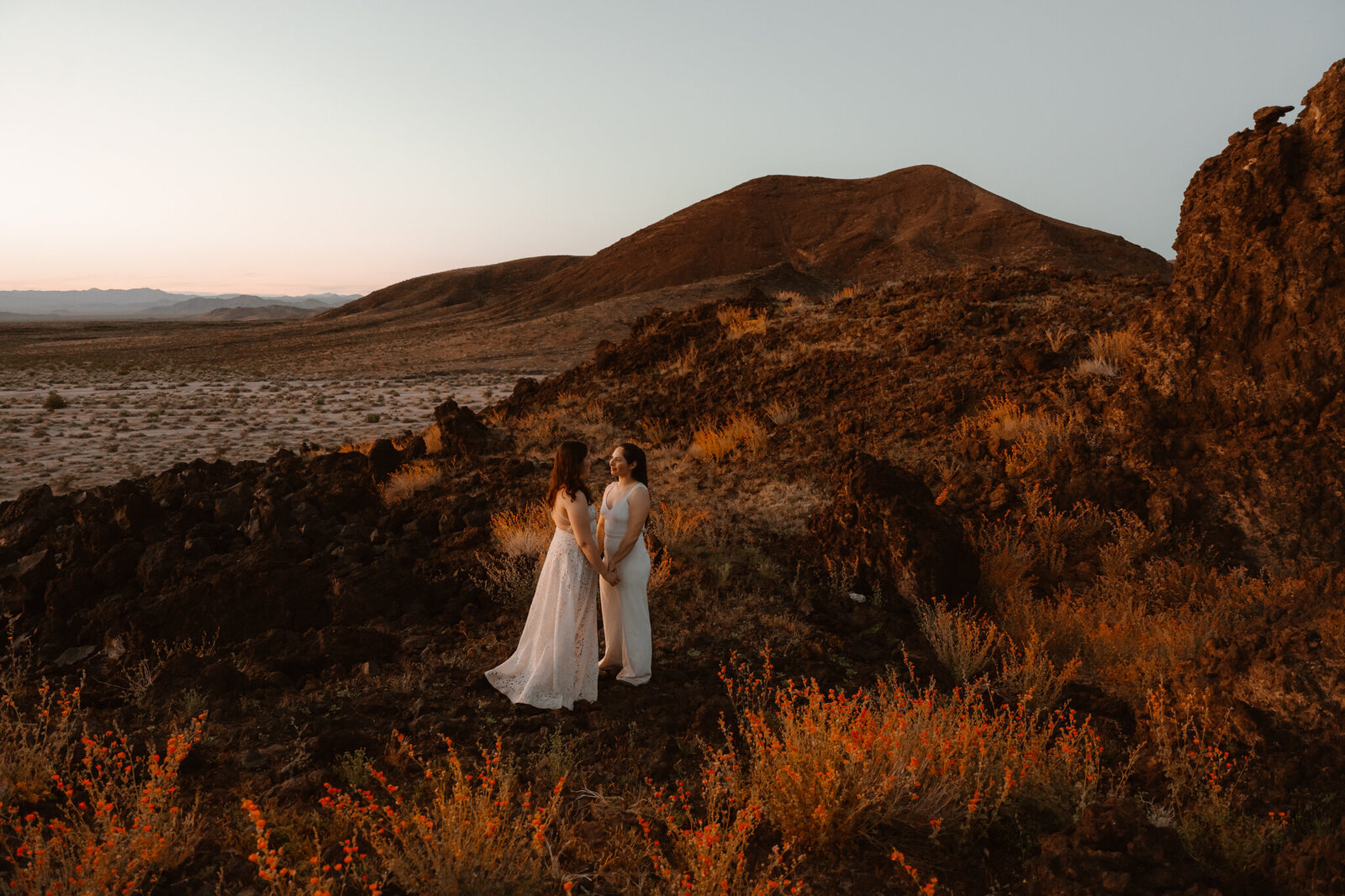 Two brides holding hands during their desert elopement at golden hour, standing among volcanic rocks and orange wildflowers.