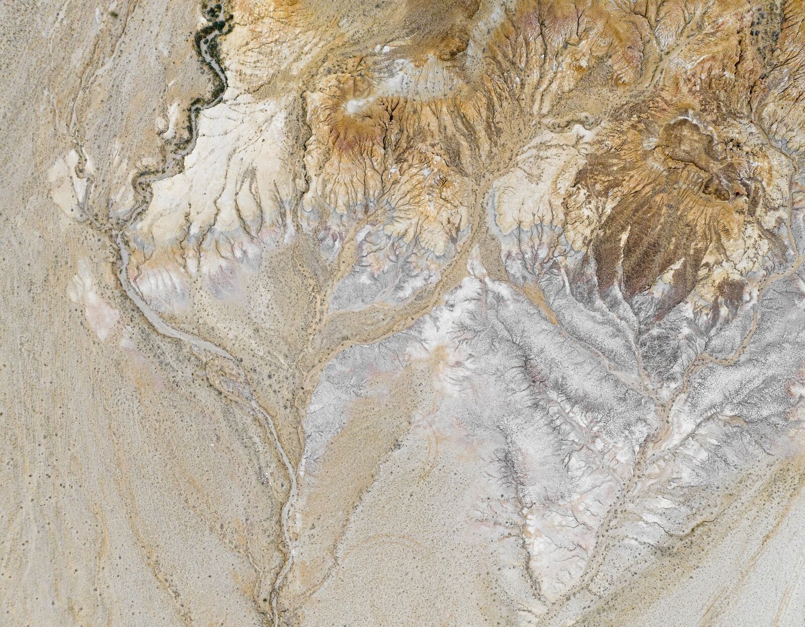 juniperphoton-DJeWve1awzc-unsplash