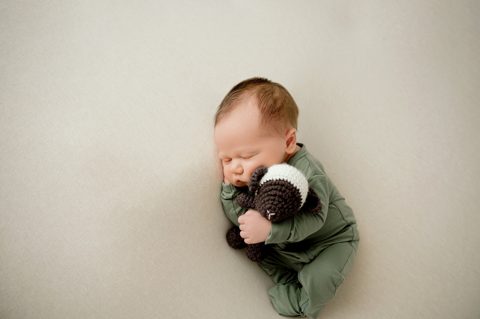 Minnesota Newborn and Family Photographer -  Nicole Hollenkamp - Central Minnesota DSC_0352