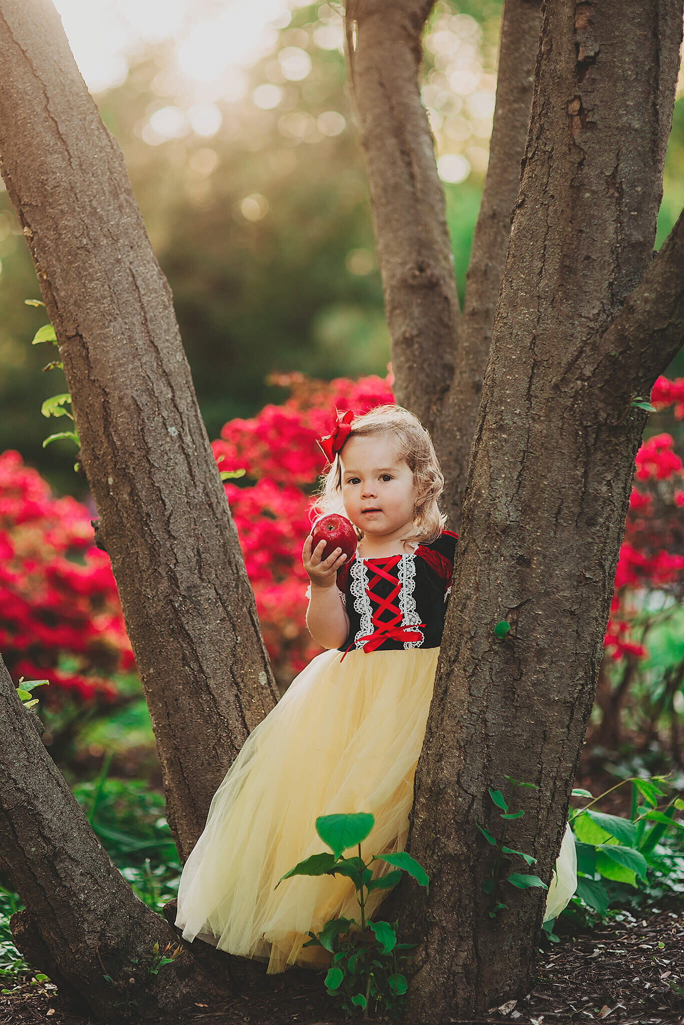 Little Girl dressed as snow white eating a red apple leaning on a tree near red flowers at Sherwood Gardens in Baltimore Maryland