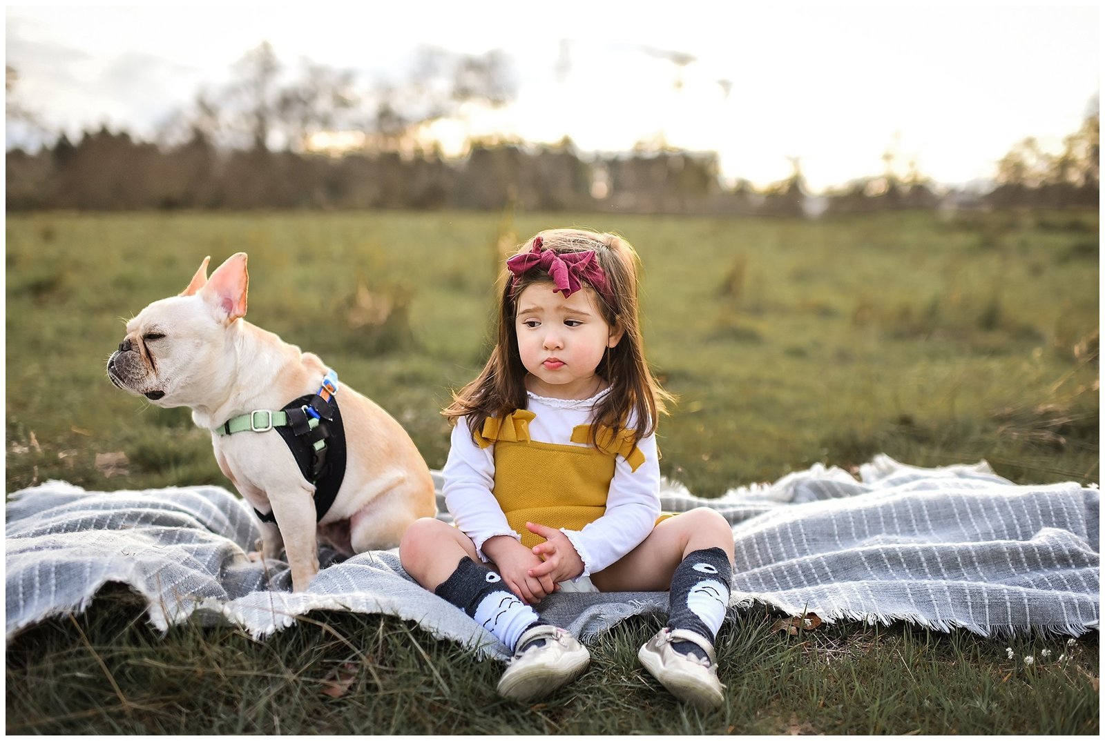 Little girl and french bulldog sitting field looking sad Emily Ann Photography Seattle Photographer.