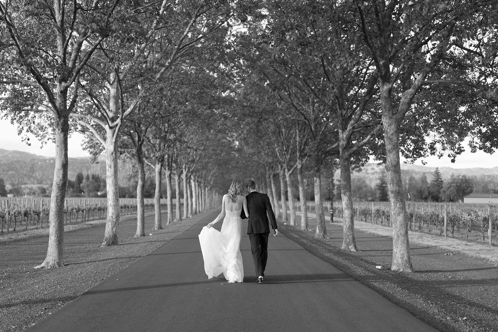 erica streelman wedding photographer_beaulieu garden napa25