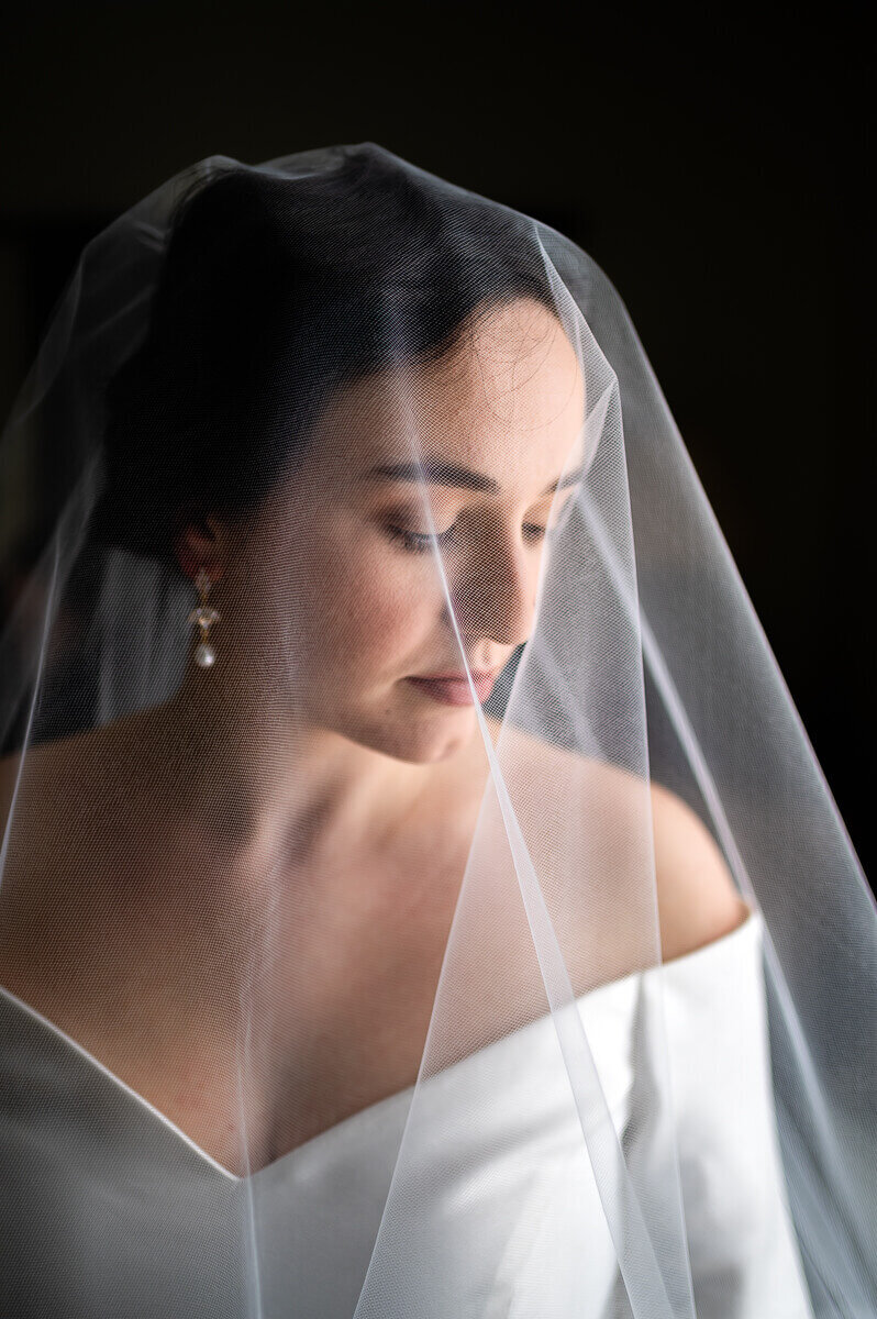 Bride with Veil on wedding day