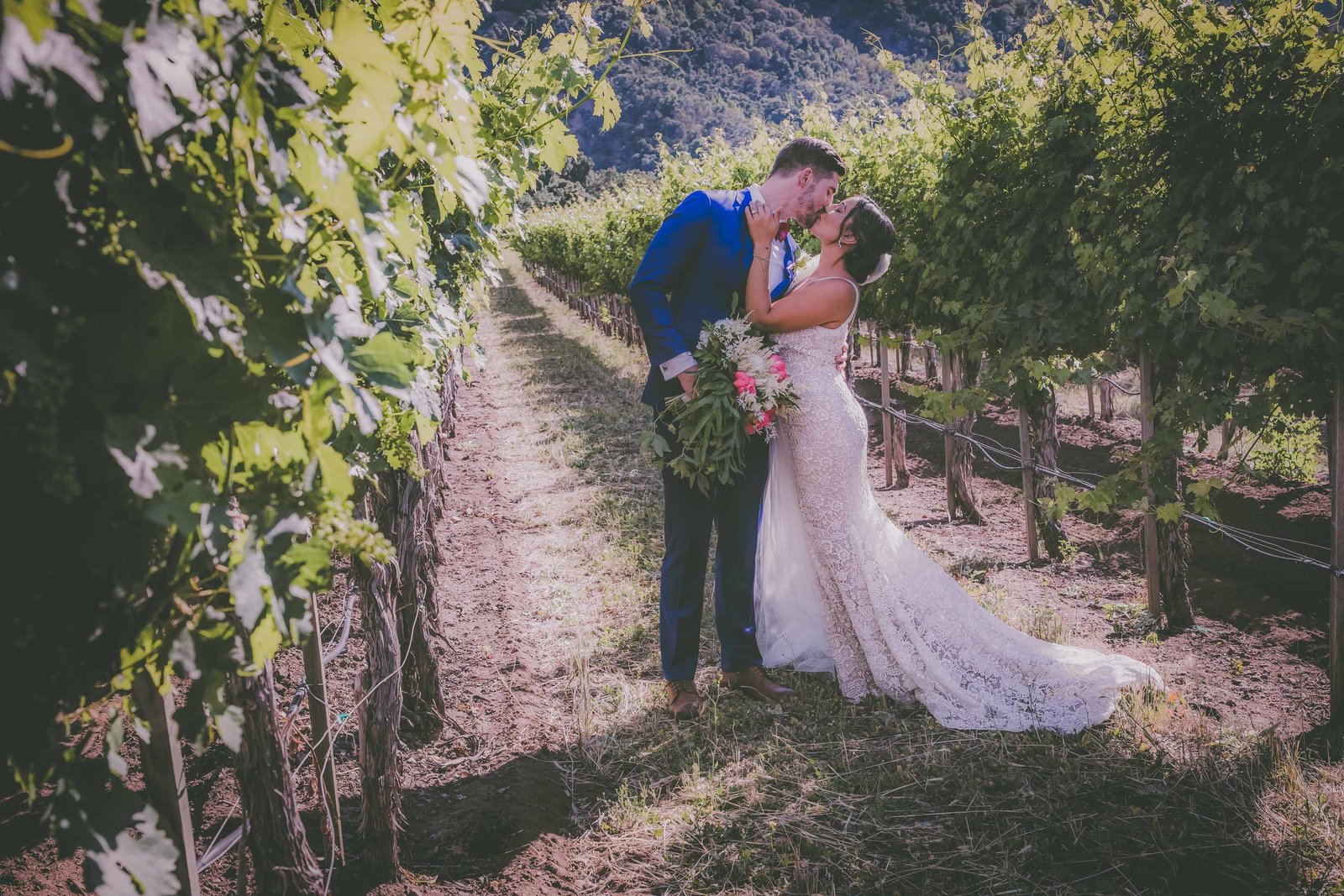 A couple stop to kiss in a vineyard located in Carmel.