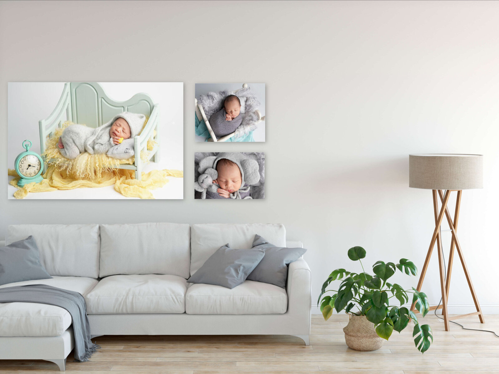 Newborn portraits hang on the wall of an Orlando area's client.
