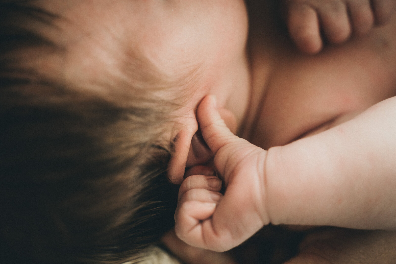 Papamoa-photographer-newborn-lifestyle-home-hair-24-2