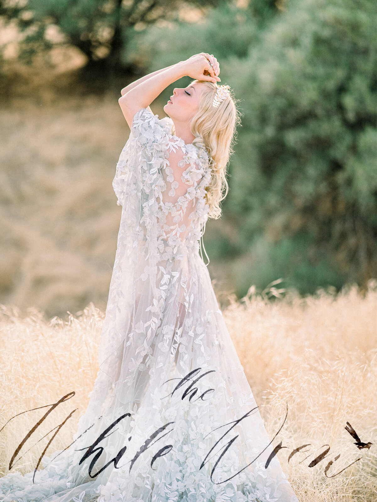 The white Wren The Maples in Woodland, CA Cover