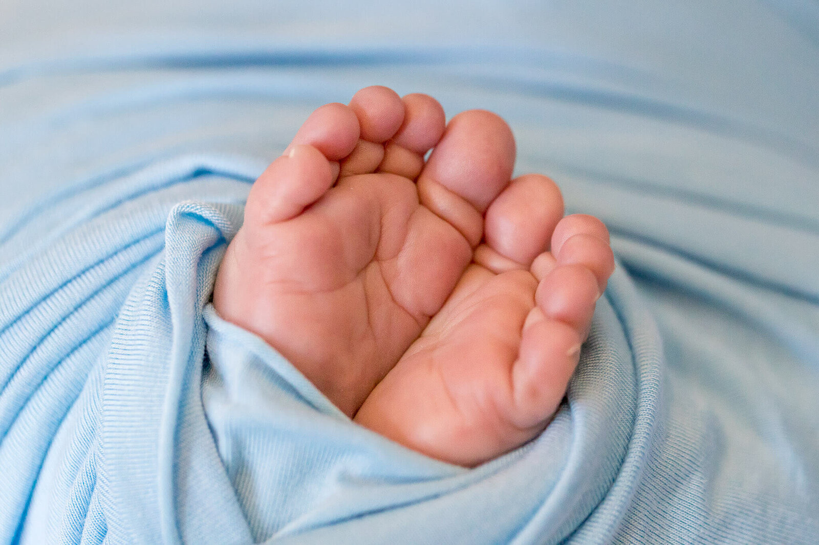 A close-up of a newborn's toes during his Woodbridge newborn photography session.