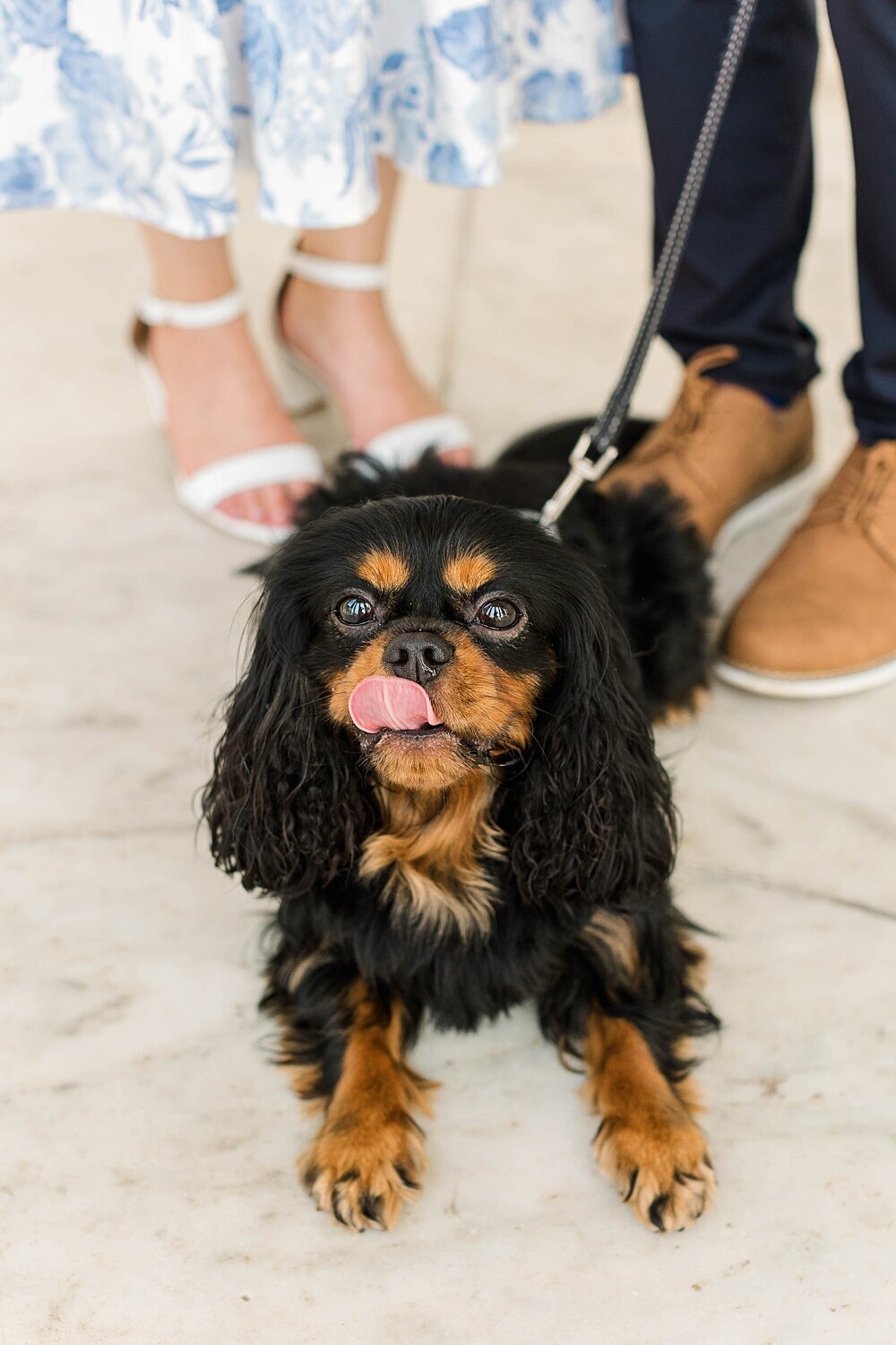virginia beach family photographer_3840