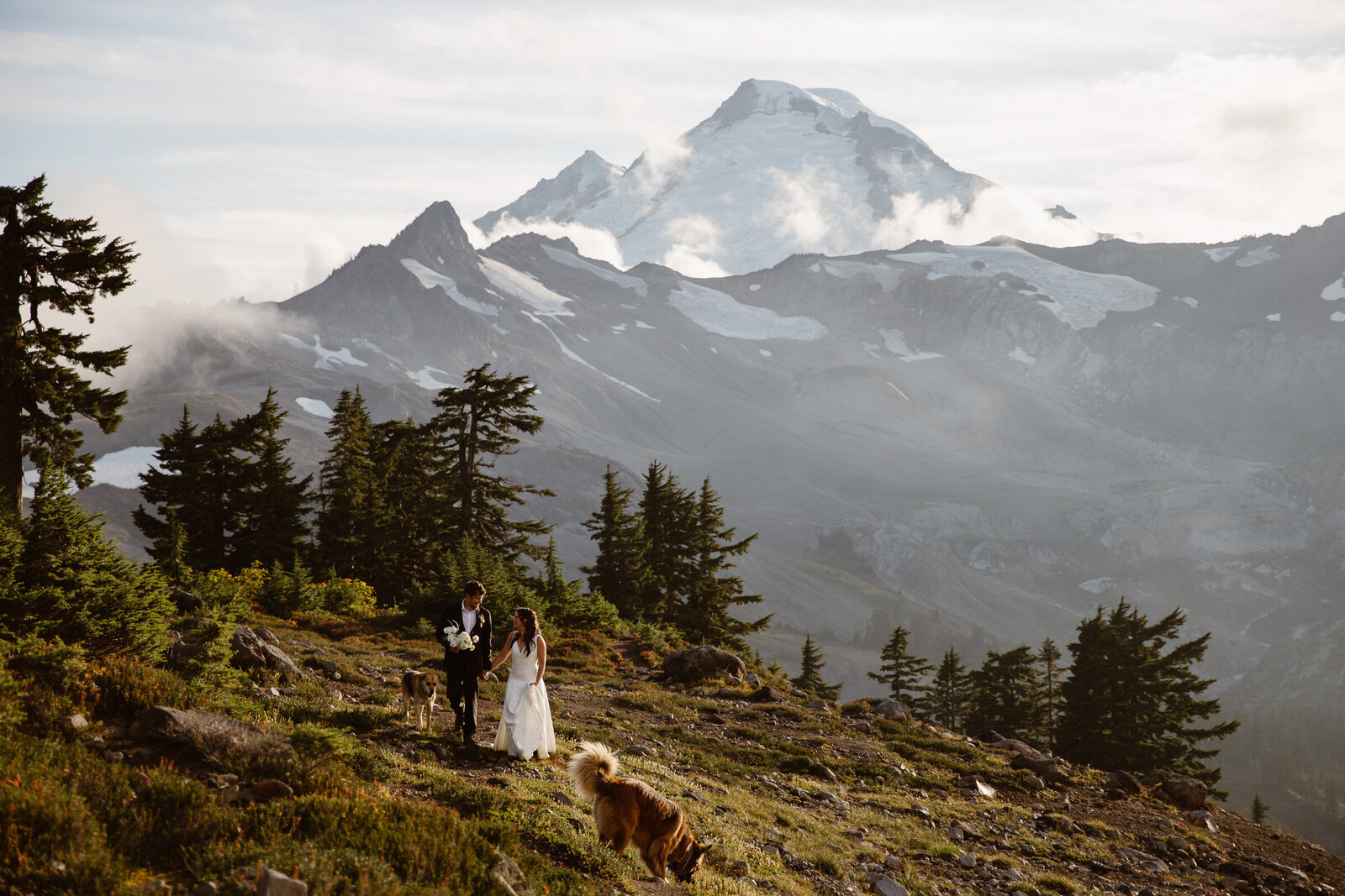 a bride, groom, and their dogs explore a trail during their Washington elopement in front of Mount Baker