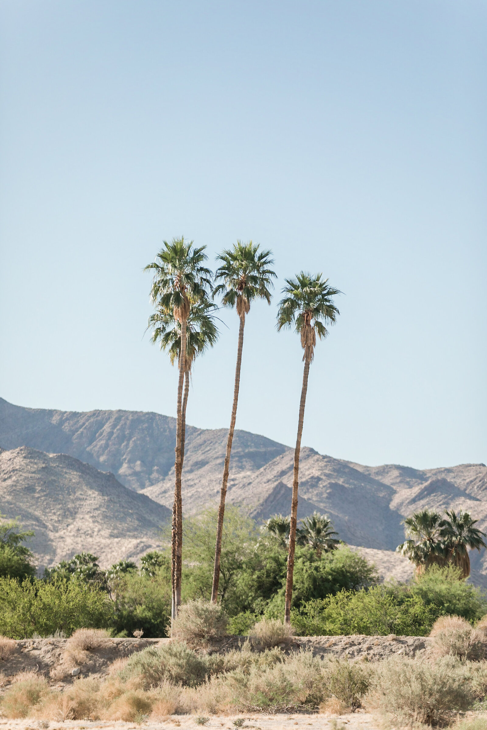 Luxury-Destination-Wedding-Photographer-Palm-Springs-engagement-Photography-3