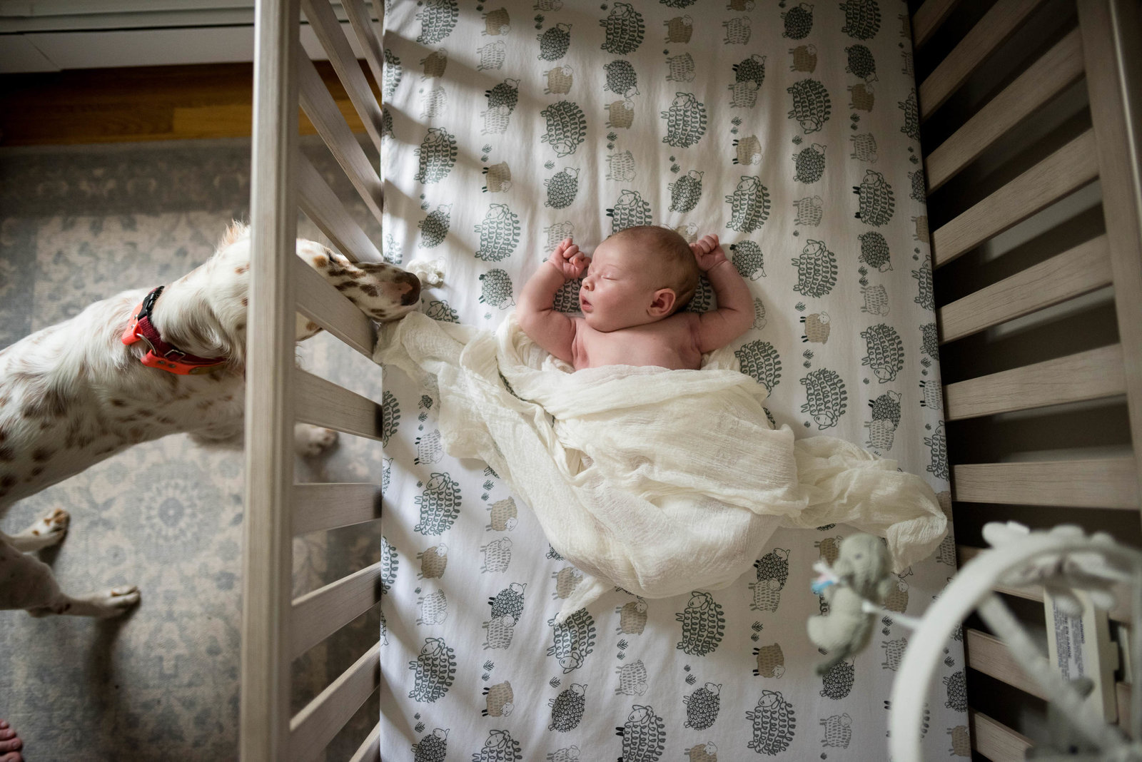Boston-Newborn-Photographer-Lifestyle-Documentary-Home-Styled-Session-373