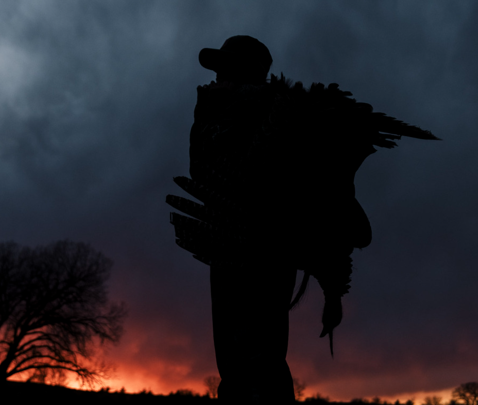 Screenshot 2024-02-06 at 1.55.50 PM