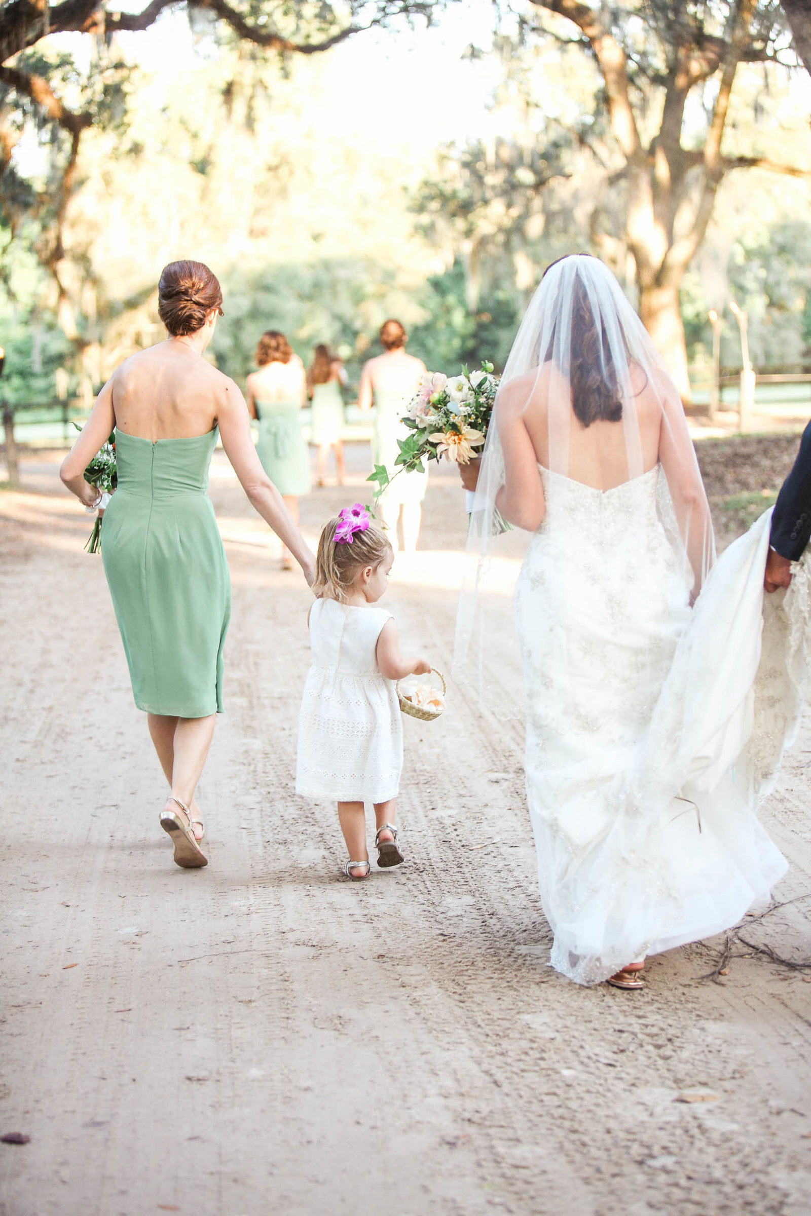 Bride walks to ceremony, Boone Hall Plantation, Charleston, South Carolina