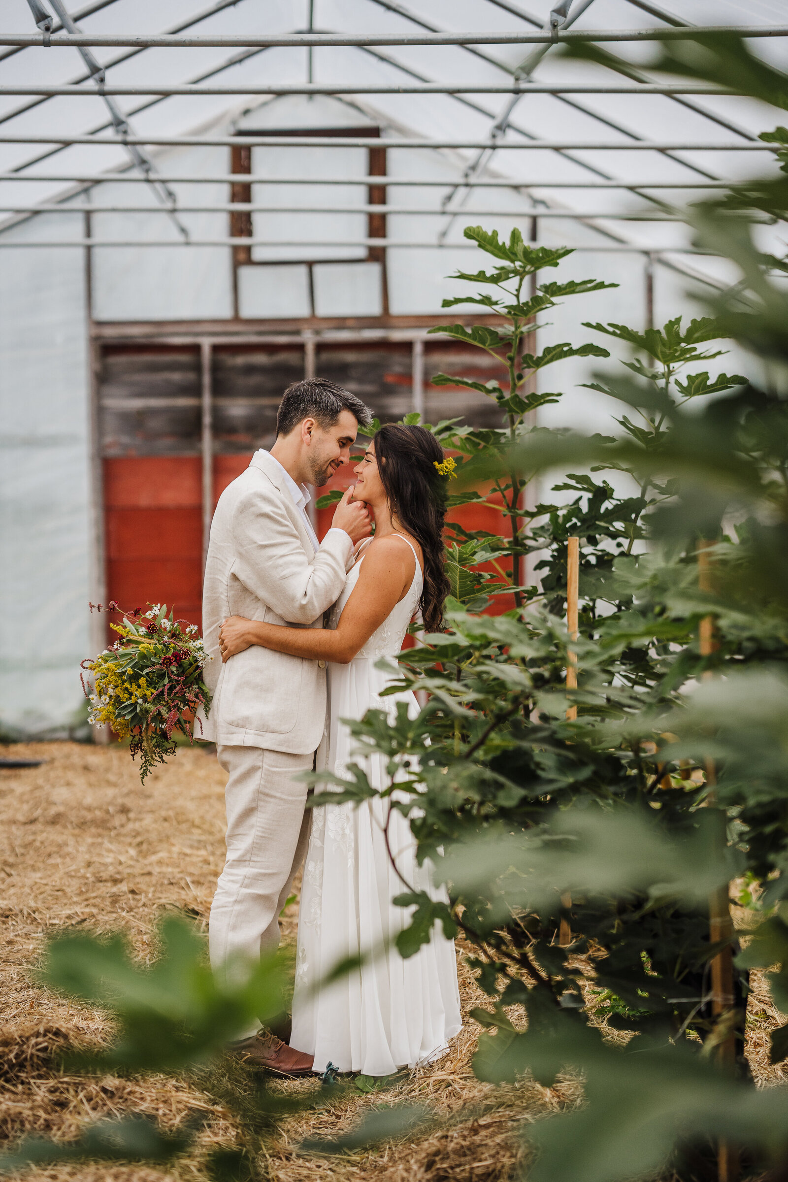 couple embraces in a greehouse with fig trees