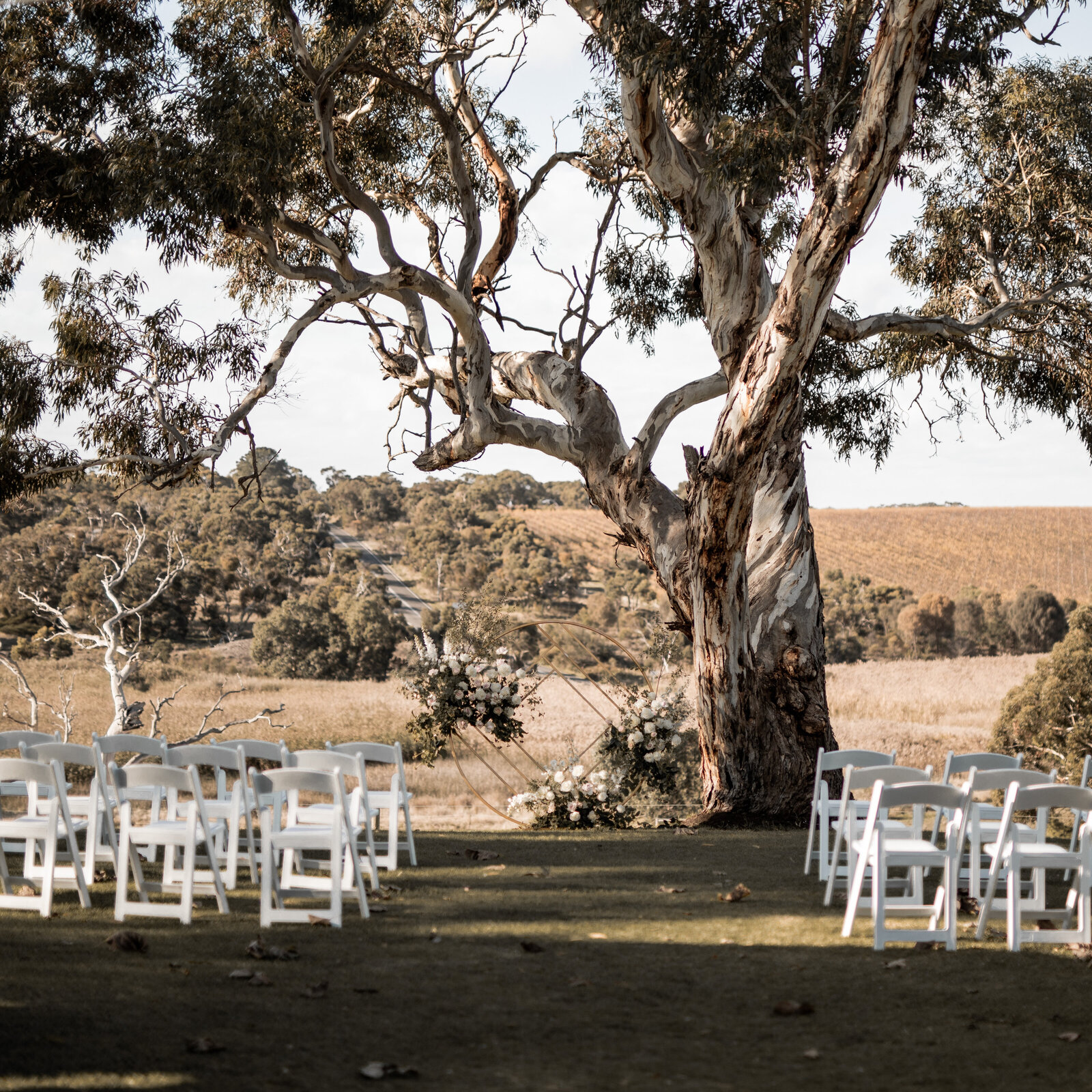 Jazmyn-Thomas-Rexvil-Photography-Adelaide-Wedding-Photographer-185