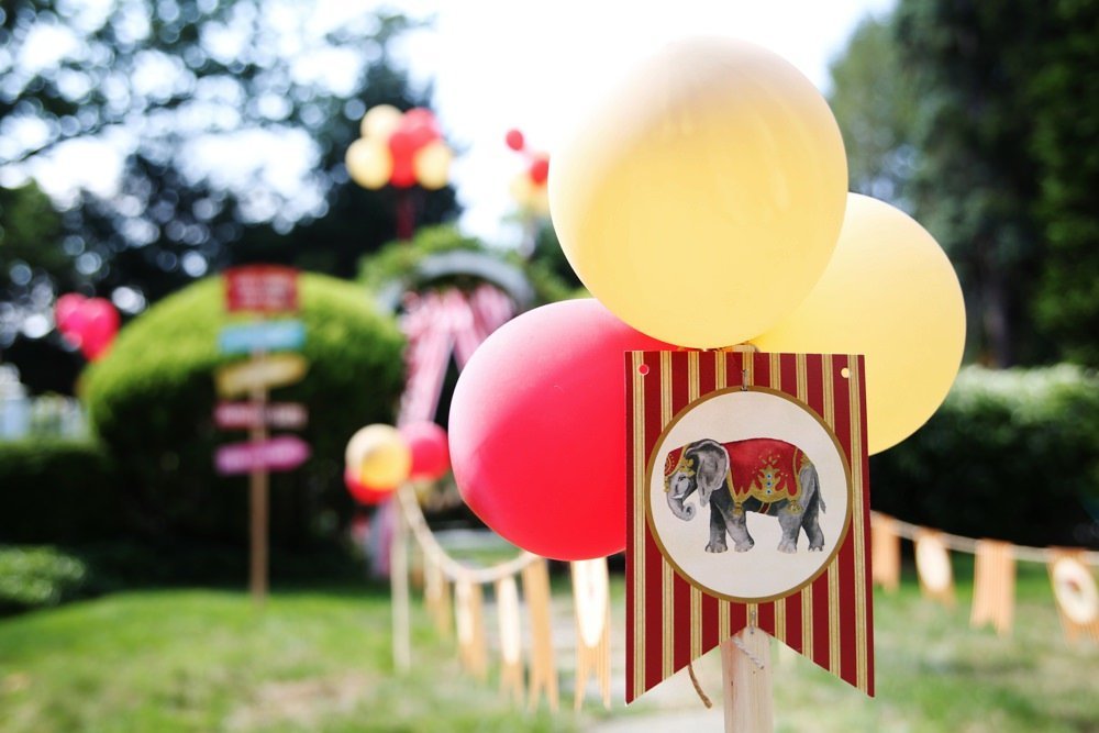 ct_party_planner_circus_birthday_0044
