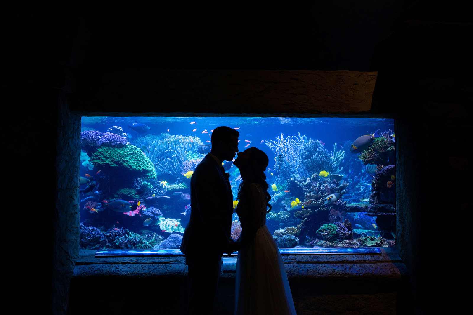Bride and groom kissing in front of fish tank at Atlantis Banquet and Events