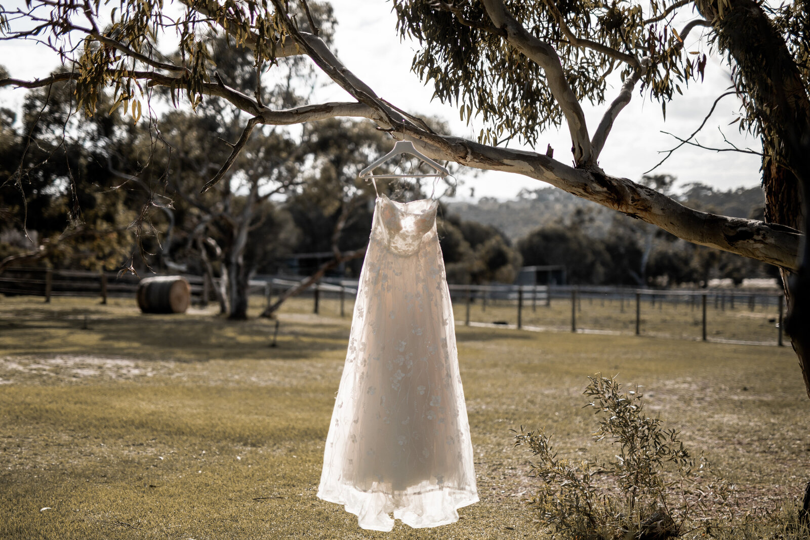 Jazmyn-Thomas-Rexvil-Photography-Adelaide-Wedding-Photographer-94