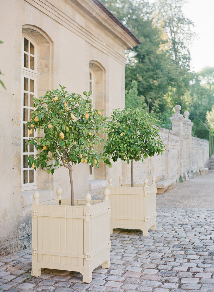Outside of an orangerie with stone flooring and lemon trees in pots