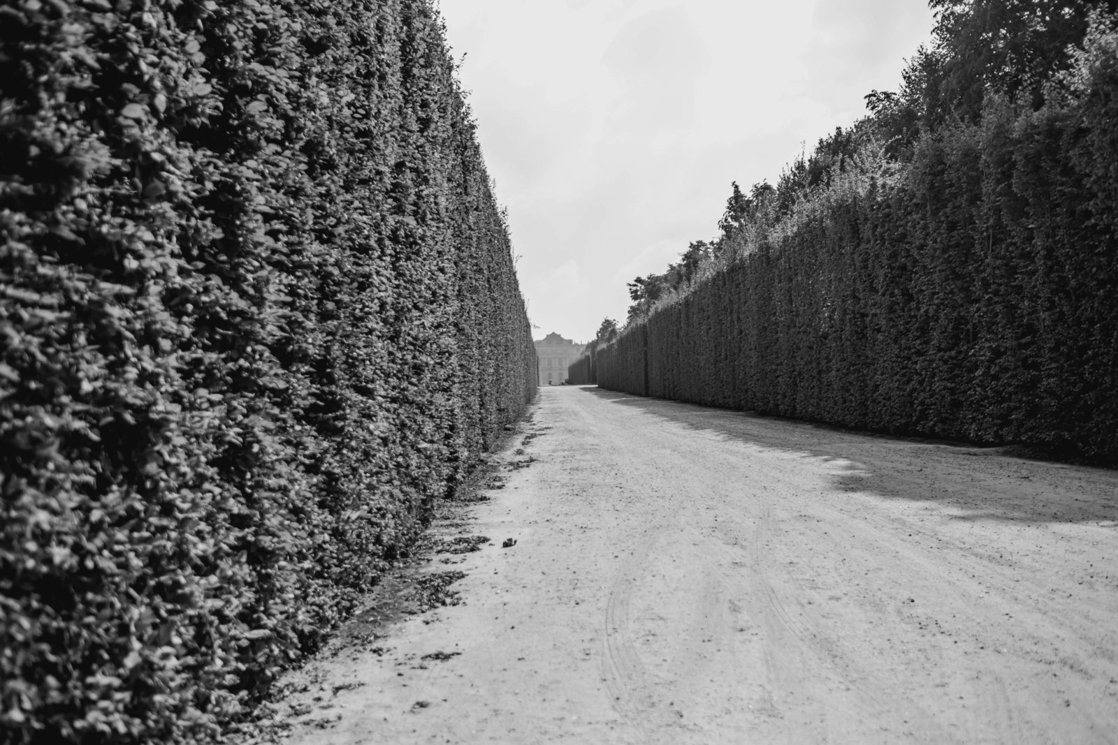 hedge-path-palace-versailles-france-travel-destination-kate-timbers-photography-1664