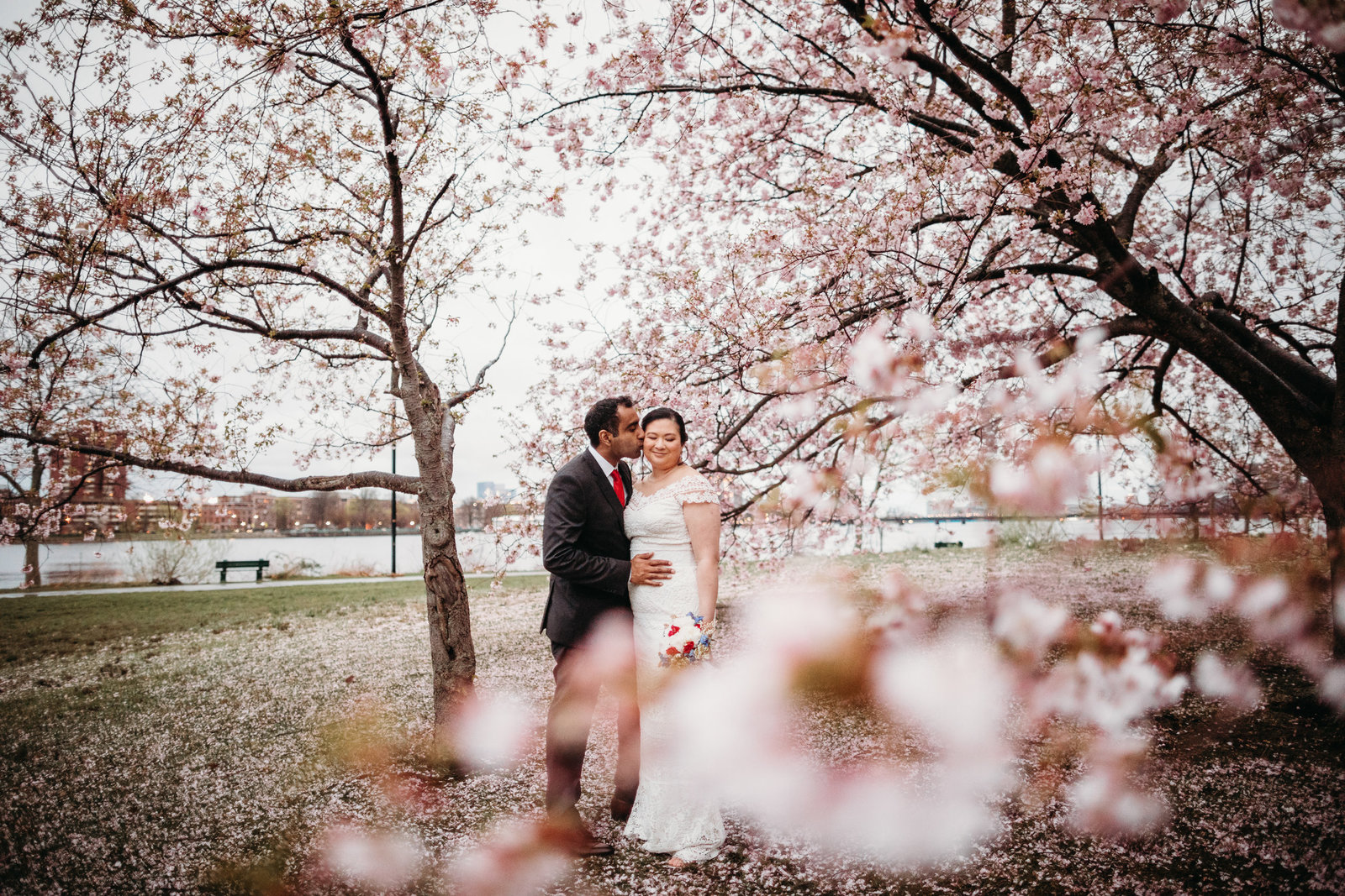 bridge and groom embrace under cherry blossom tree on charles river esplanade