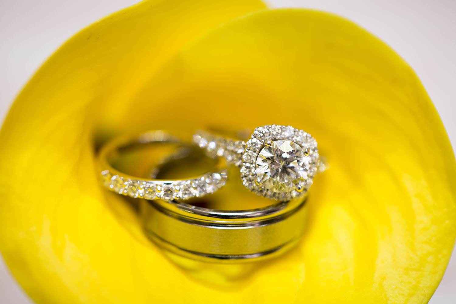 Wedding rings inside a Lilly