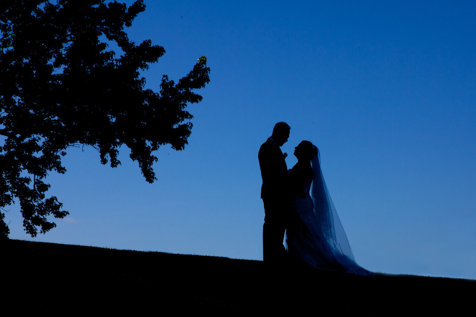 Accent-photography-auckland-wedding_056