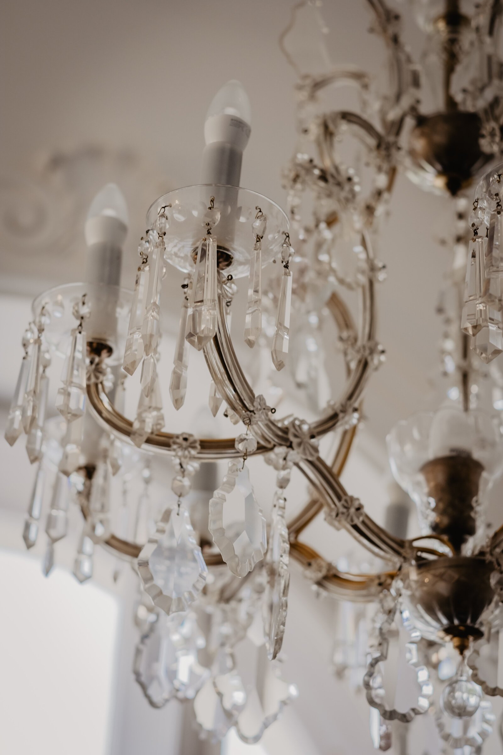 victoria-priessnitz-BSXJwaldC1U-unsplash