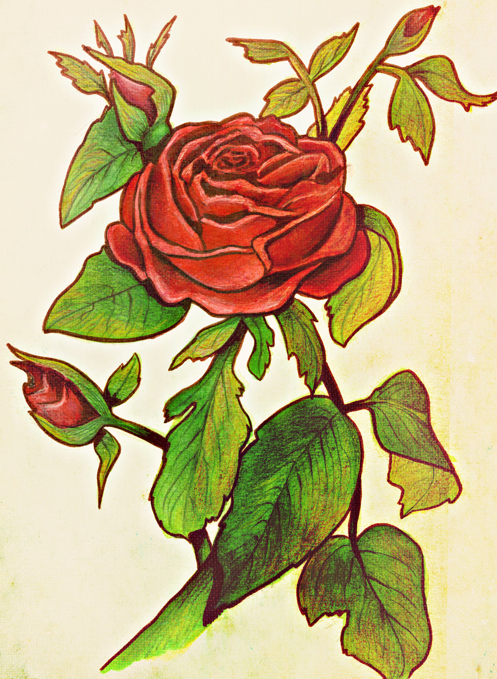 Rose_painting new