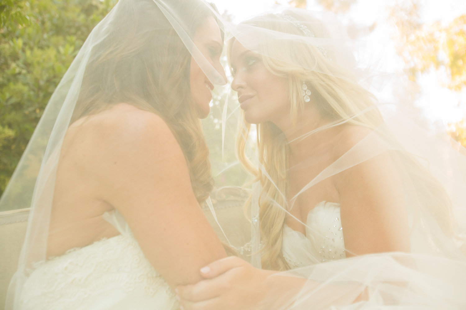 Lesbian couple under their veil wedding portrait