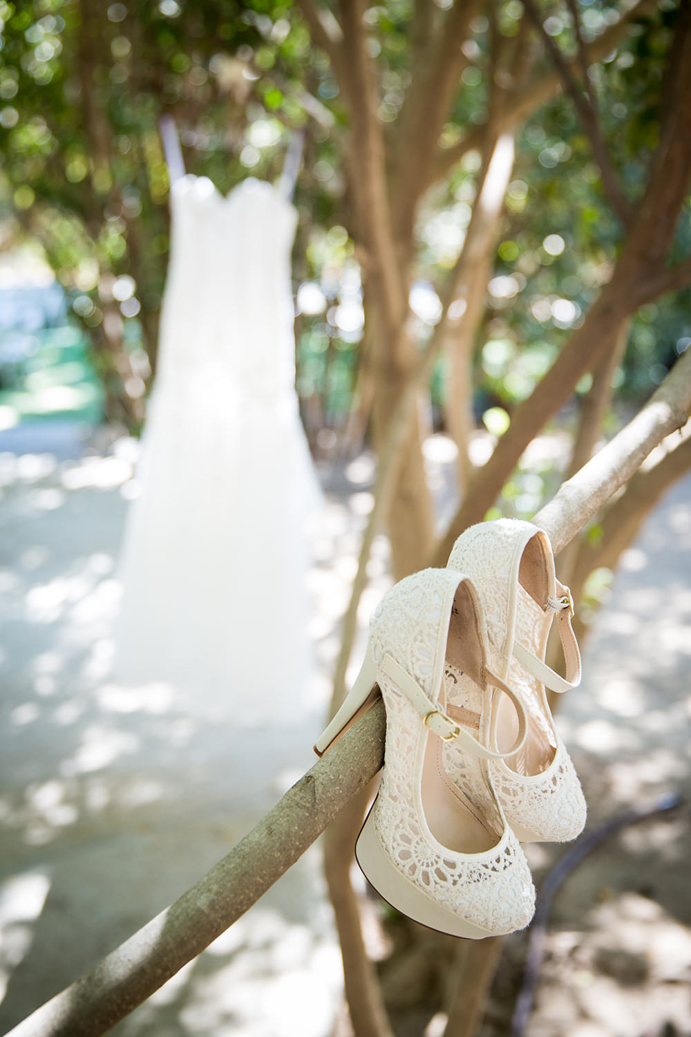 bridal shoes hanging in tree